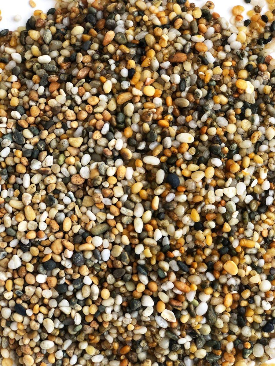 Gold Pearl