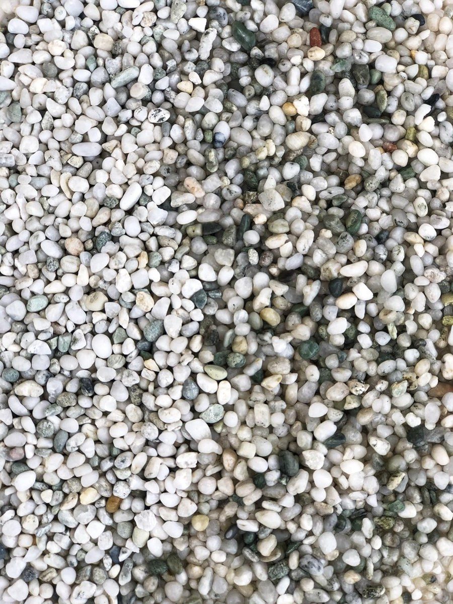 Iwagumi Pebble