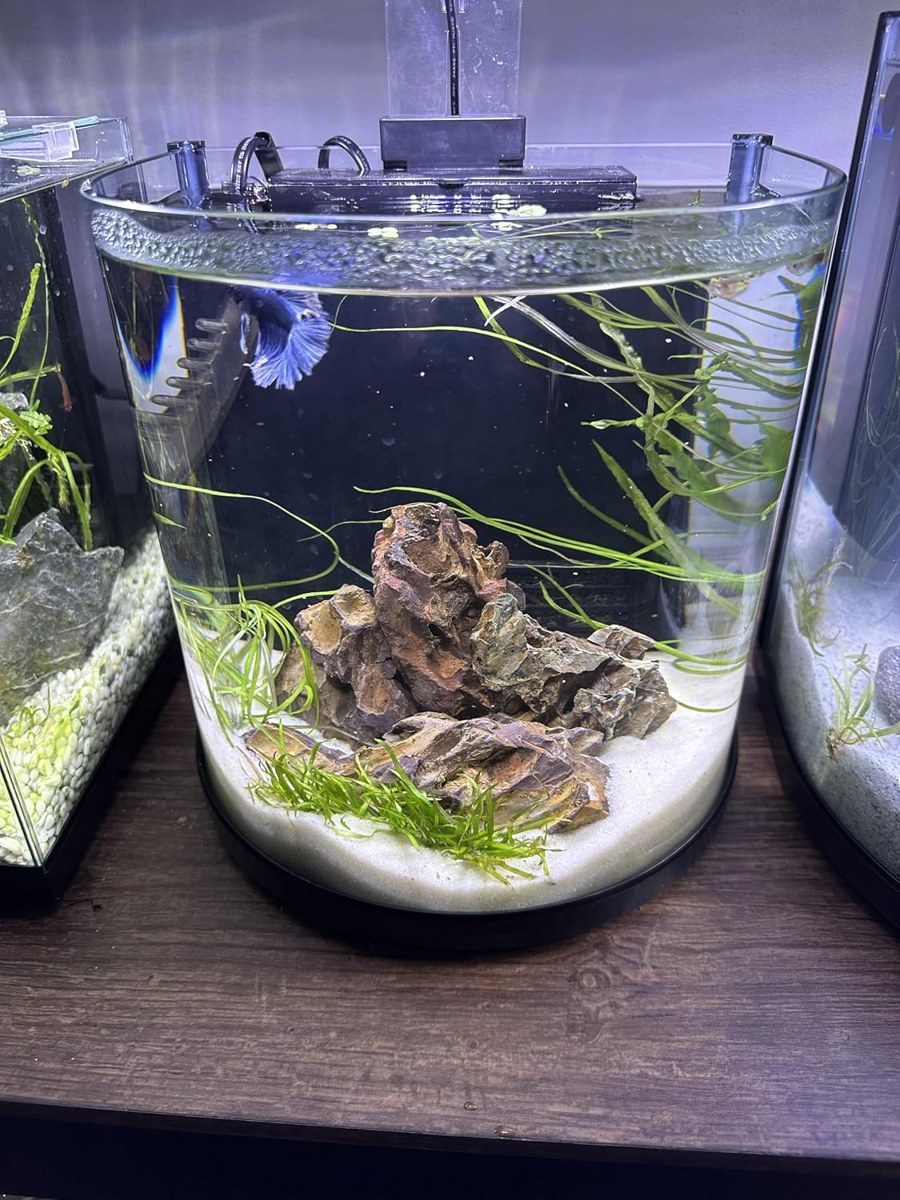 Aquarium Sand